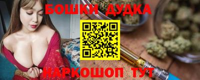 индика Бийск