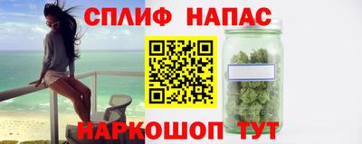 индика Бийск