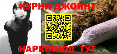 индика Бийск