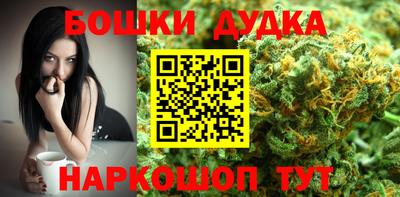 индика Бийск