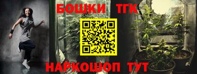 индика Бийск