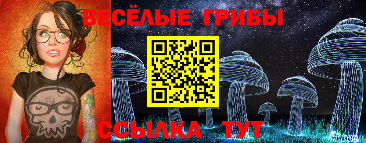 Псилоцибиновые грибы Magic Shrooms  Вход с VPN  Избербаш  Галлюциногенные грибы Psilocybine cubensis 