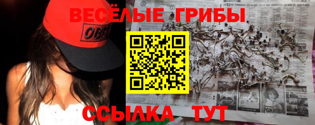 Псилоцибиновые грибы ЛСД Избербаш