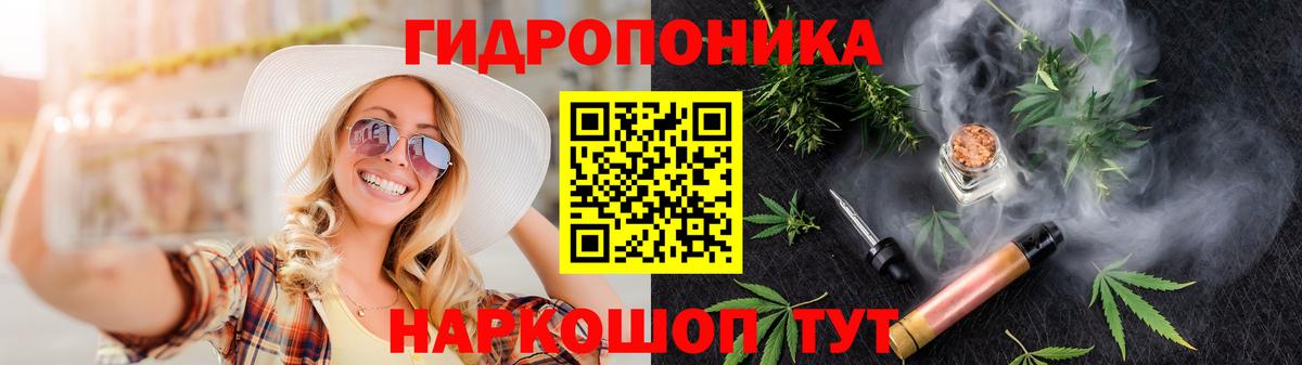 Бошки марихуана сатива  Шишки марихуана сатива  Избербаш  Конопля сатива  Вход с VPN 